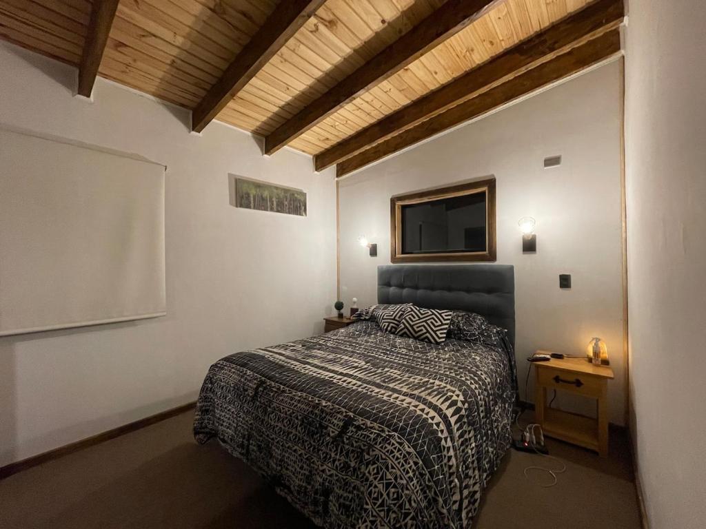 Cabin with Jacuzzi - 5