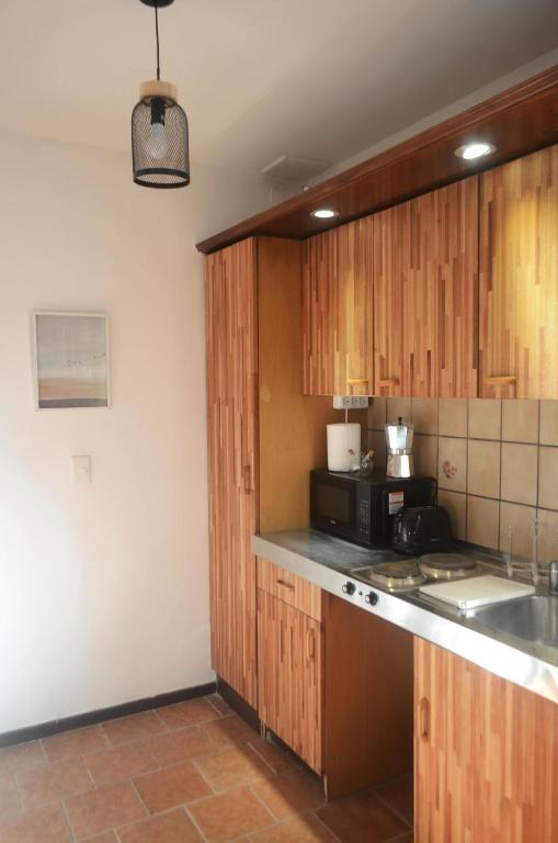 Terrace Apartment Penthouse Roof - 5