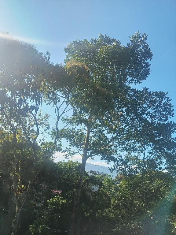 Cabaña en el campo - 3