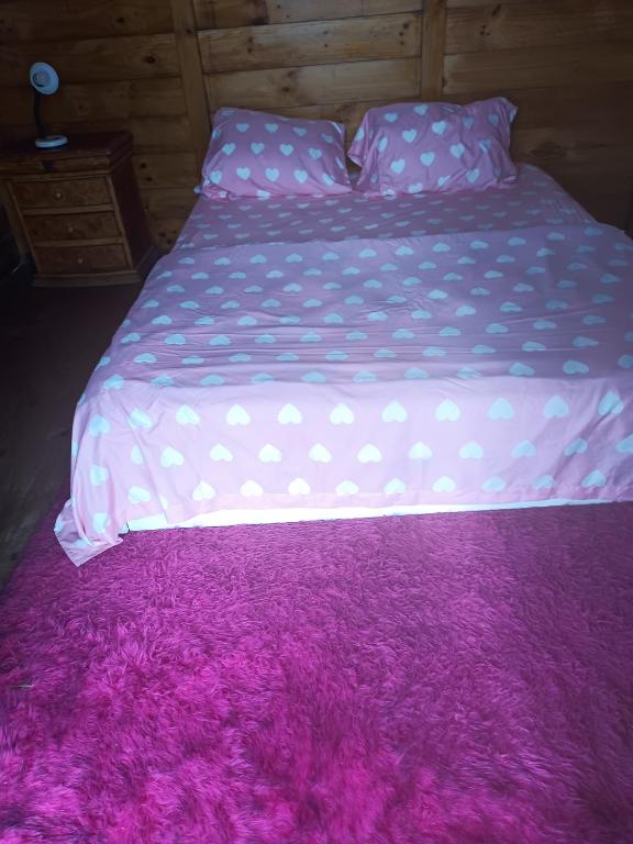 Cabaña en el campo - 5