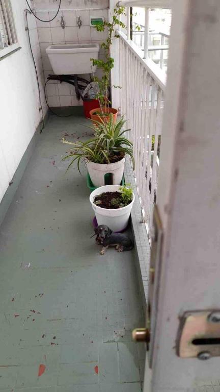 Apartment Luminoso Palermo - Oro and Charcas - 4