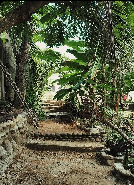 Sierra Tayrona hostel - 5