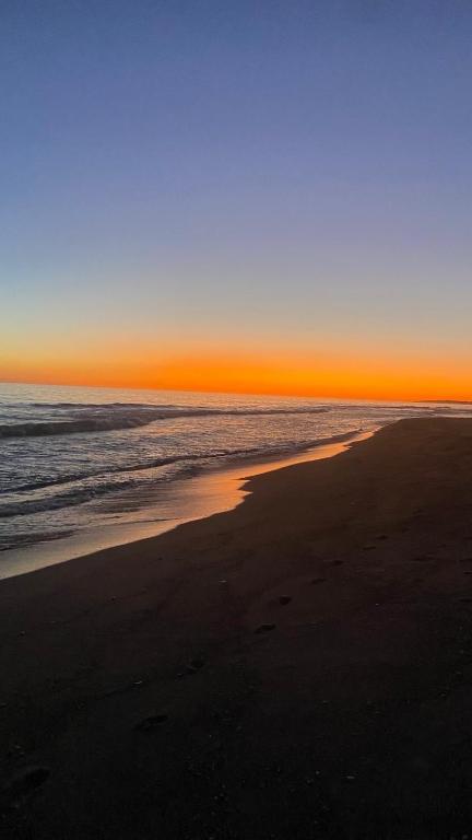Surf Camp - 3