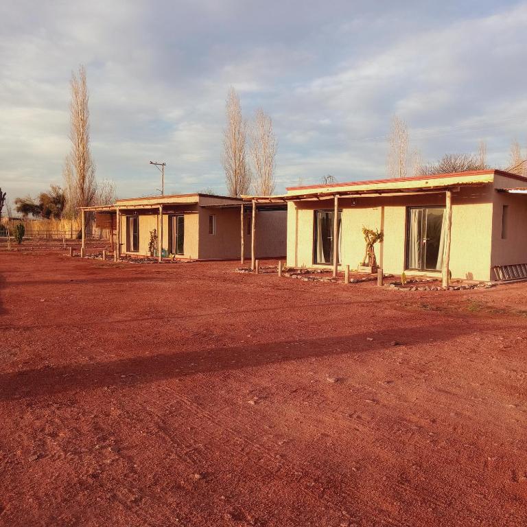 Cactus del Talampaya 2 - 2