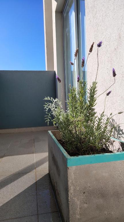 Salta Departamentos con PIleta Wifi y Cochera - 5