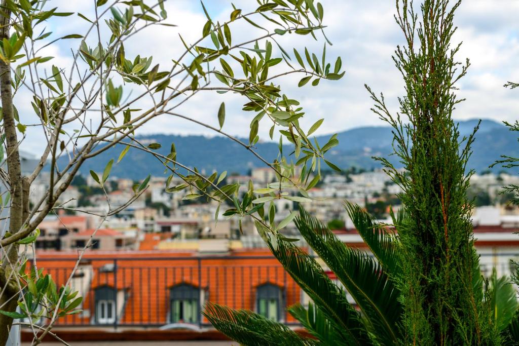 View