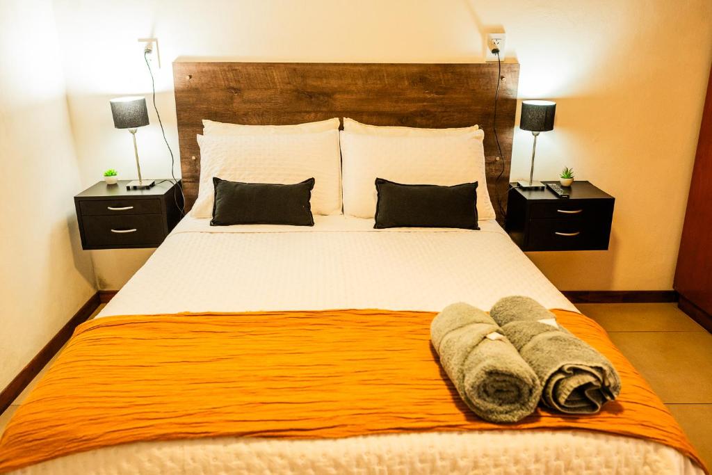 Casa tipo Estudio de concepto abierto, Centrica, Parrilla, Cochera Privada y Portón Eléctrico - 4