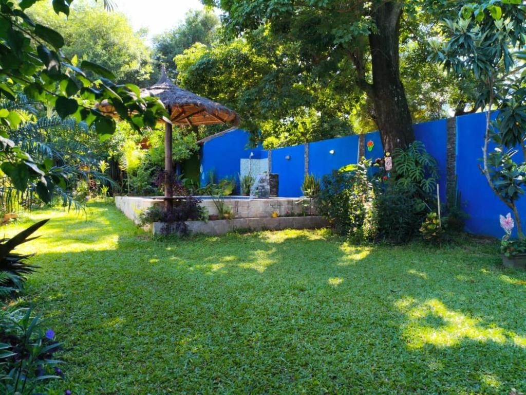 Charming place to stay with lots of nature - 3