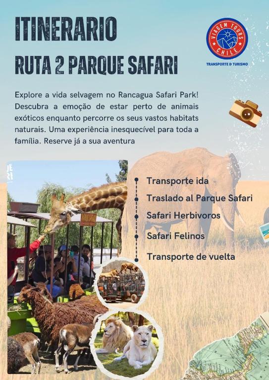 Vigem tours chile - 4