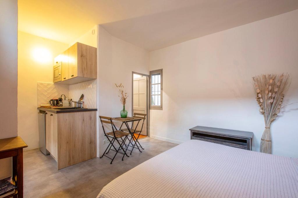 Charmant studio - Palais des Papes - 2