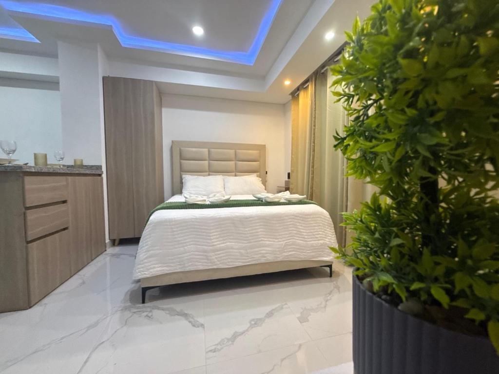 Caribbean Dream Suite 08 - 3