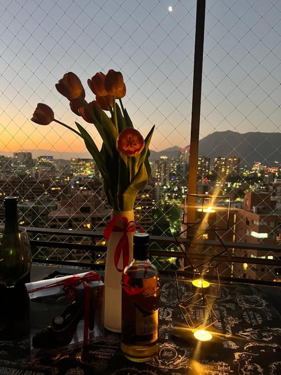 Luxury apartment, Las Condes loft duplex - 5