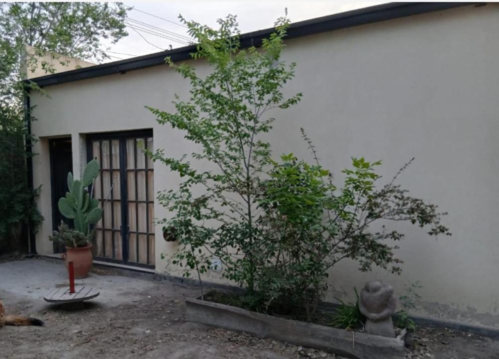 Viedma departamentos con cochera - 2