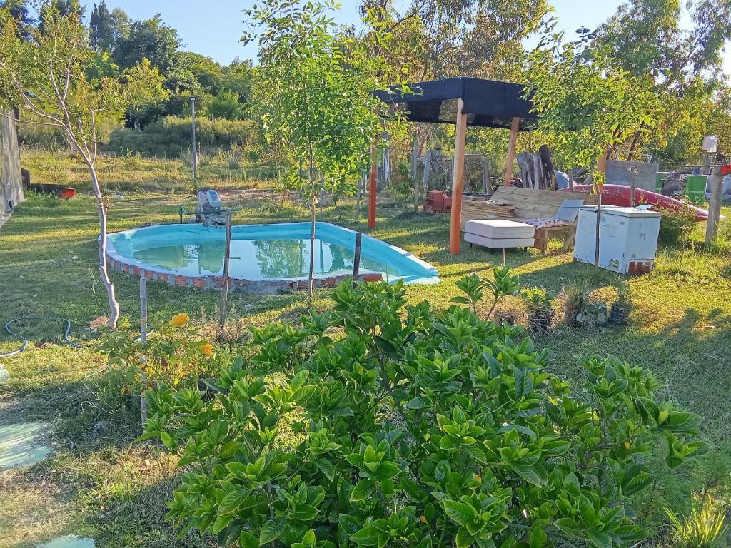 Golden Peninsula - 2