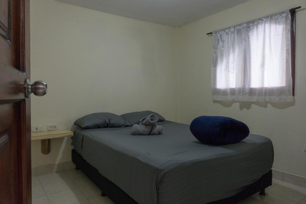 Posada Mirador de Filandia - 3