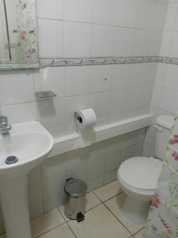 Cabaña Punta arenas - 4