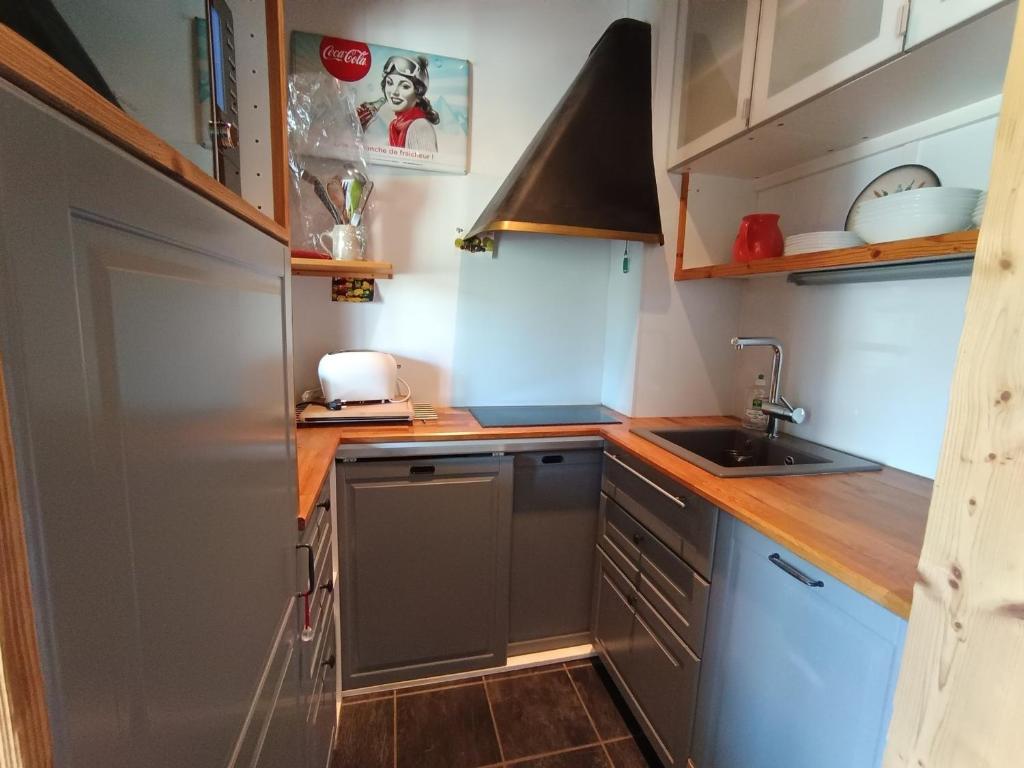 Studio cosy 4 pers, proche pistes, belle vue Janus - FR-1-445-47 - 4