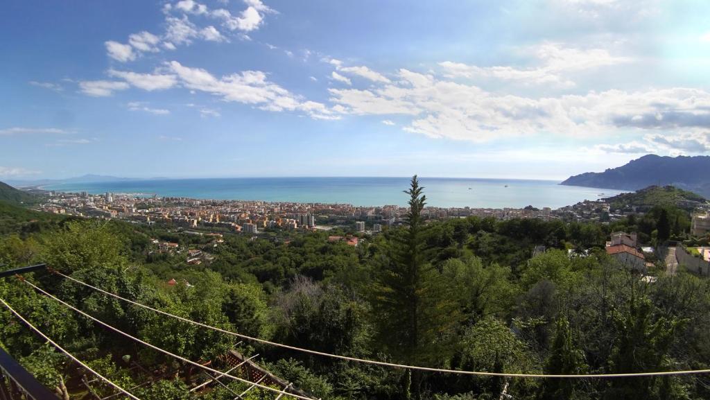View