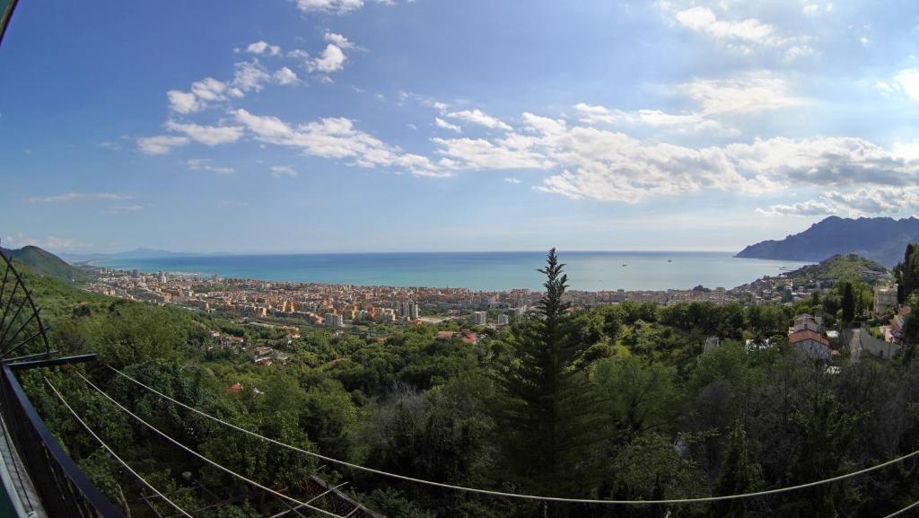 View