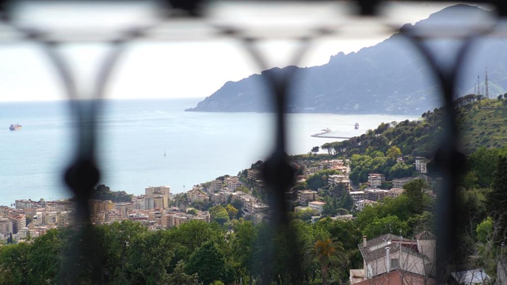 View