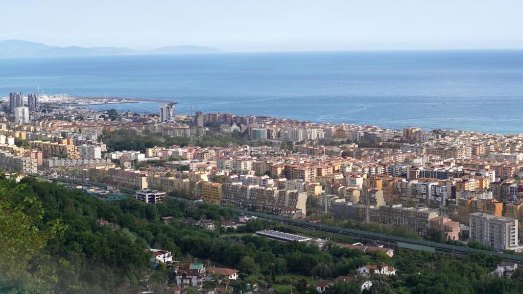 View