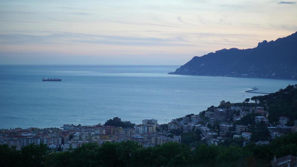 View