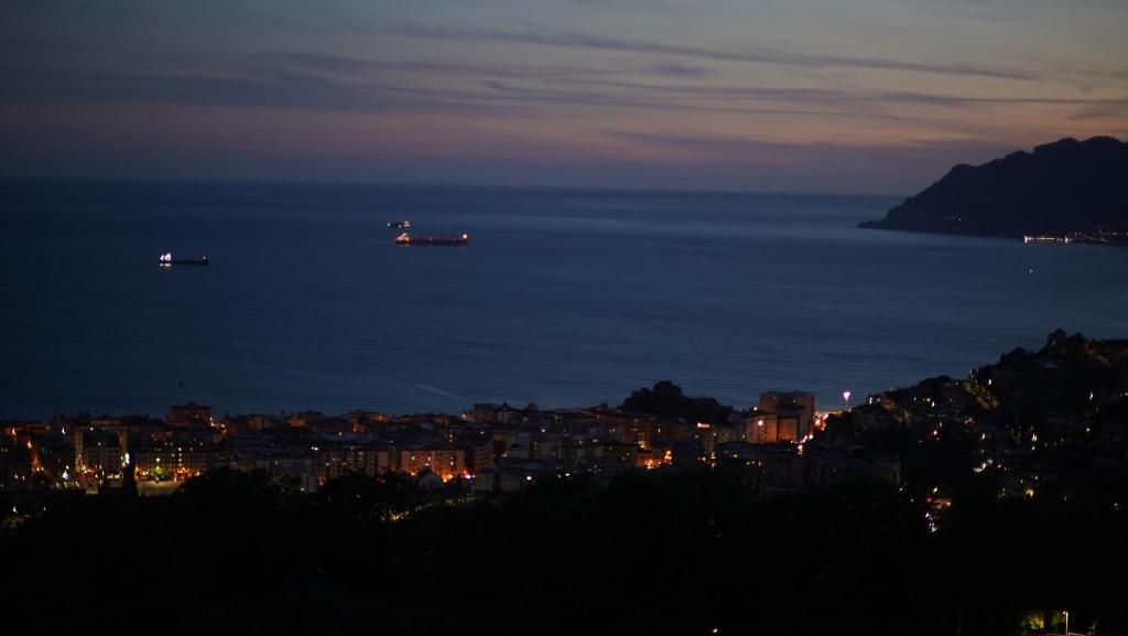 View