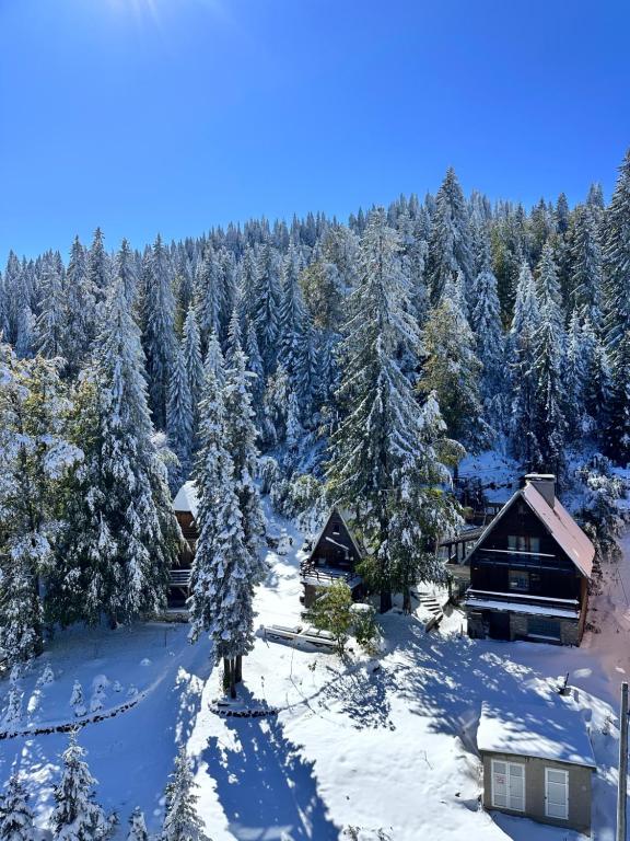 Snowfall Luxury Suites Jahorina - 2