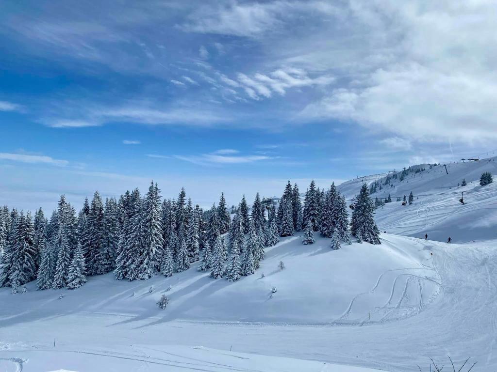 Apartman 306 Privatni u sklopu Hotela Vučko Jahorina - 5
