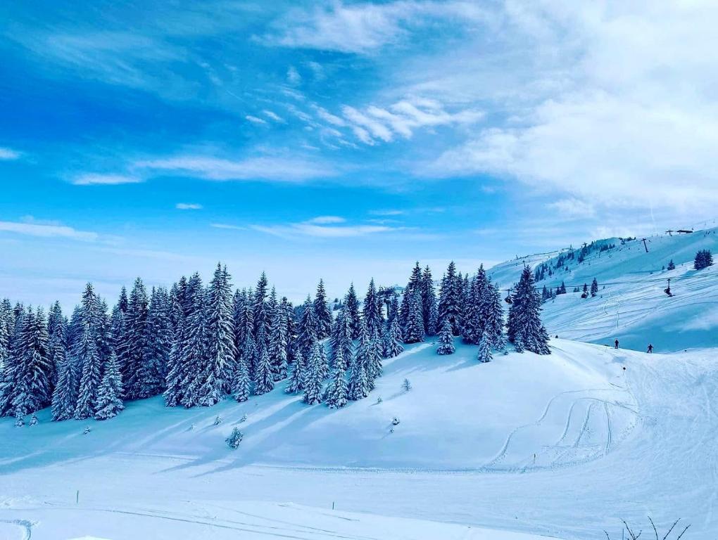 Apartman 306 Privatni u sklopu Hotela Vučko Jahorina - 3