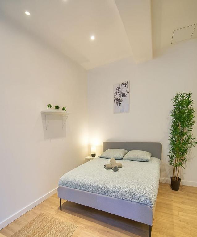 Charming apartment on the Saône Quays - 3