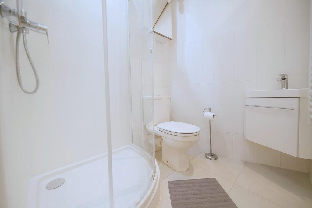 Charming apartment on the Saône Quays - 4