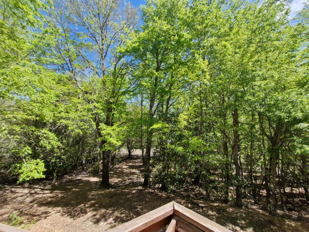 Refugio Koyamento - 2