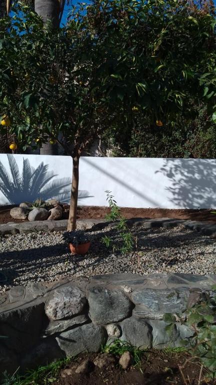 Casa Josefina - 4