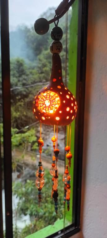 Finca La Violeta - 1