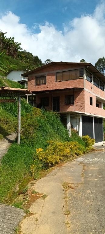 Finca La Violeta - 3