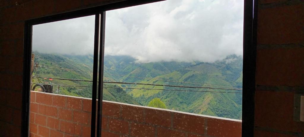 Finca La Violeta - 4