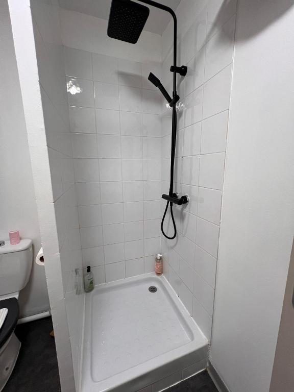 Appart'Hotel - Gare TGV - Courtine - Confluence - 407 - 5