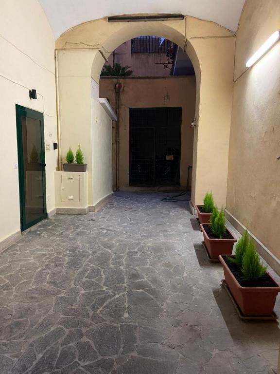 Interno 43 - 1