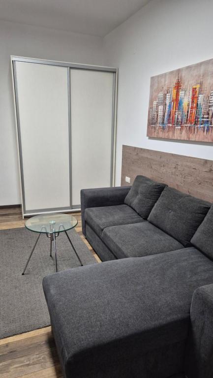 Cozy apartment in the center of Belgrade - living room, bedroom and bathroom - 2