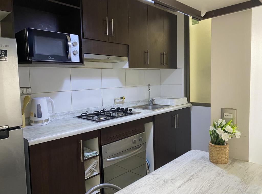 Parinacota Beach - 2