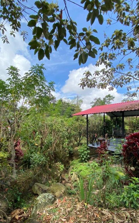 Casa campestre Finca Renacer - 2