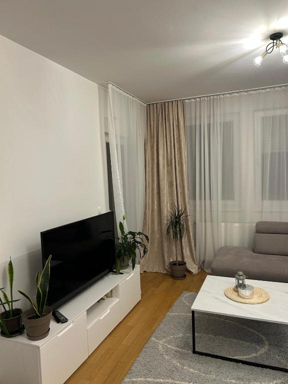 Moonlight Apartment - 3