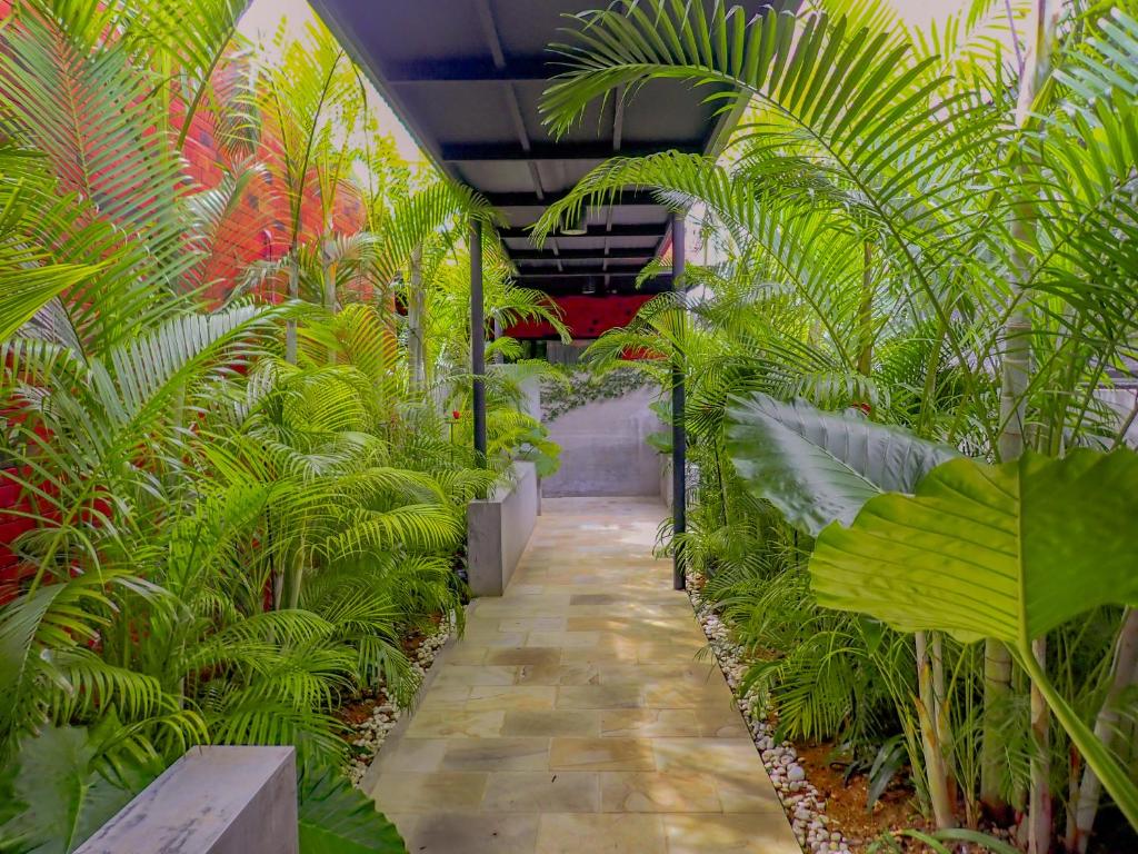 류추의 프라이빗 하우스 침실 개 프라이빗 욕실 개 호텔 이미지 2