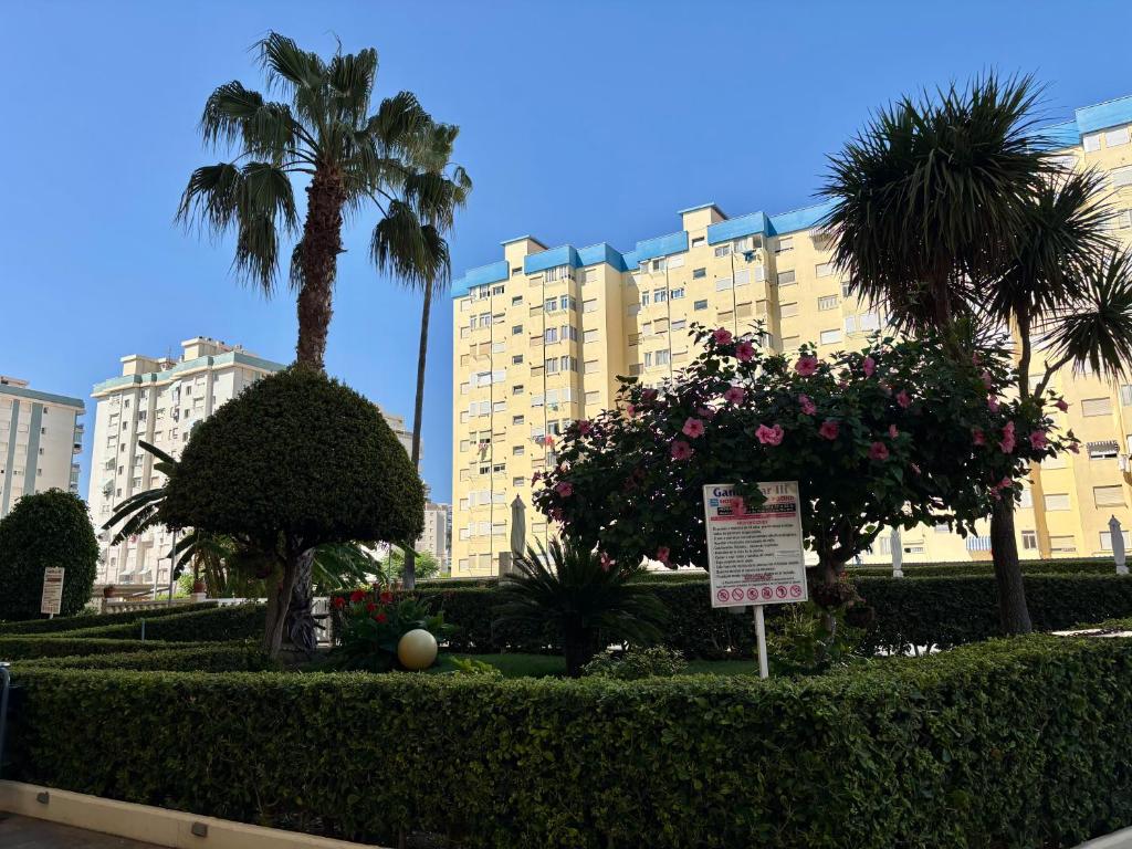 Apartamento en la Playa de Gandia - 2
