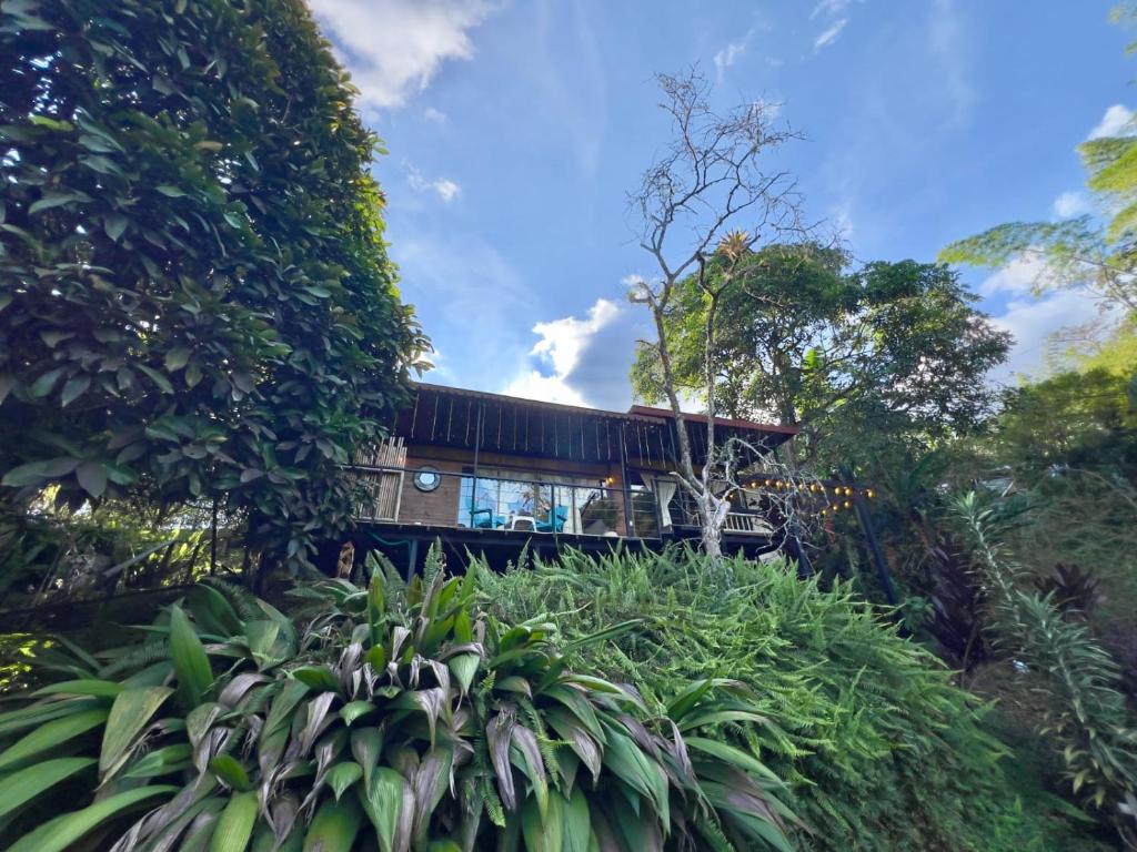 Finca El Fin del Afán - Vegara Cundinamarca - 1