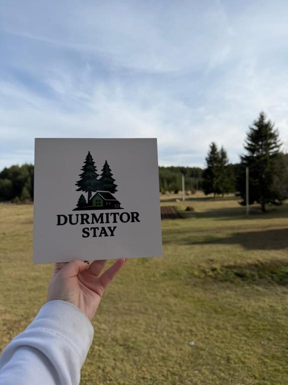 Durmitor Stay - 2