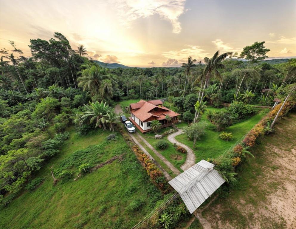 Dream house surrounded by nature - 2