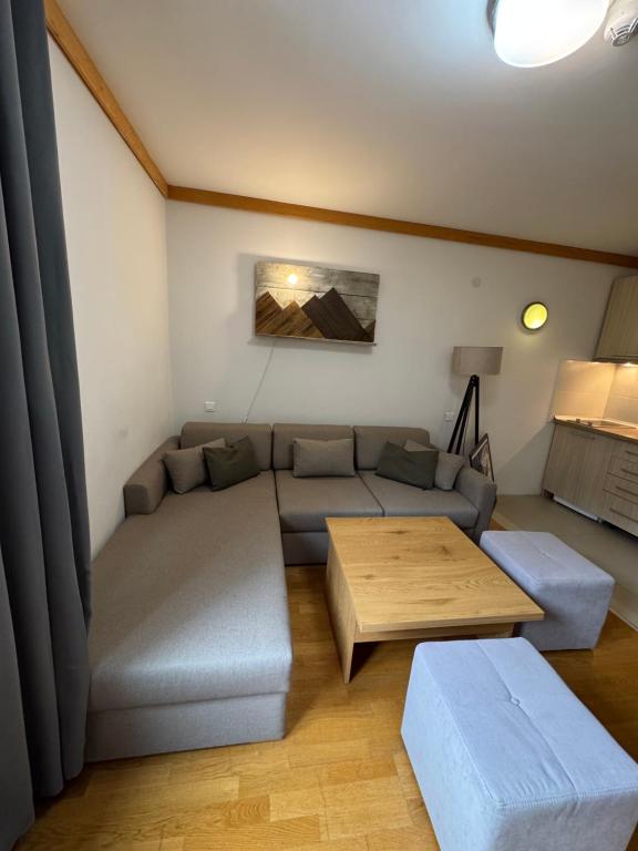 Apartment U345 - Aparthotel Vučko Jahorina - private host - 4