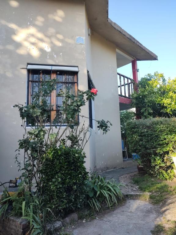 Departamento en Villa Carlos Paz - 5